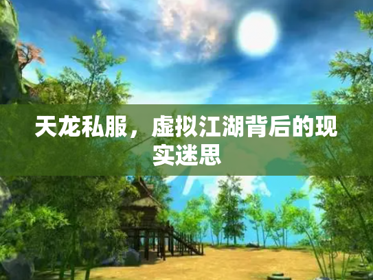 天龙私服，虚拟江湖背后的现实迷思