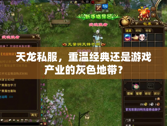 天龙私服，重温经典还是游戏产业的灰色地带？