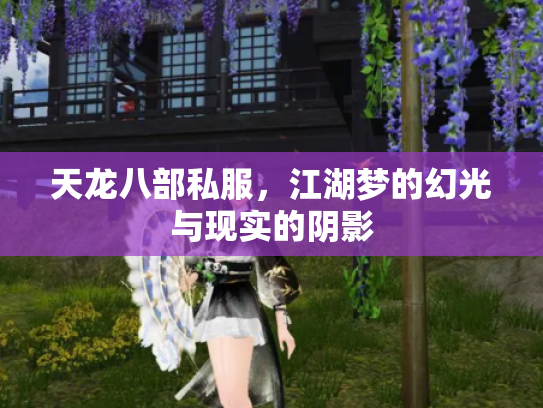 天龙八部私服，江湖梦的幻光与现实的阴影