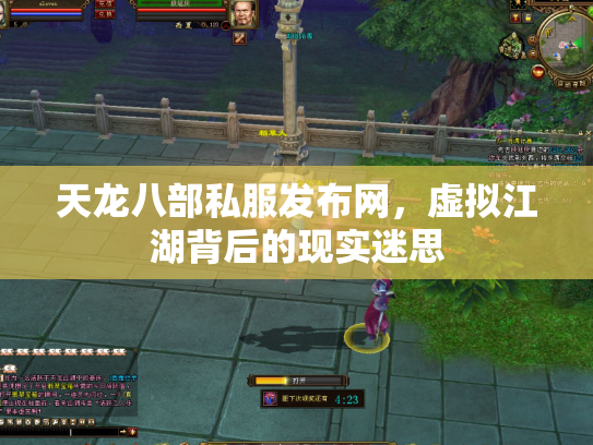 天龙八部私服发布网，虚拟江湖背后的现实迷思