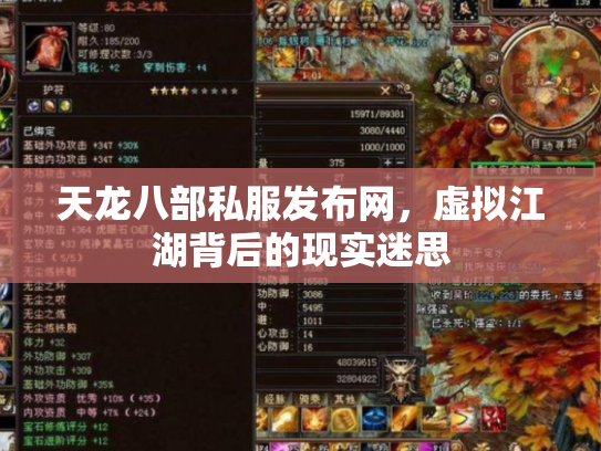 天龙八部私服发布网，虚拟江湖背后的现实迷思
