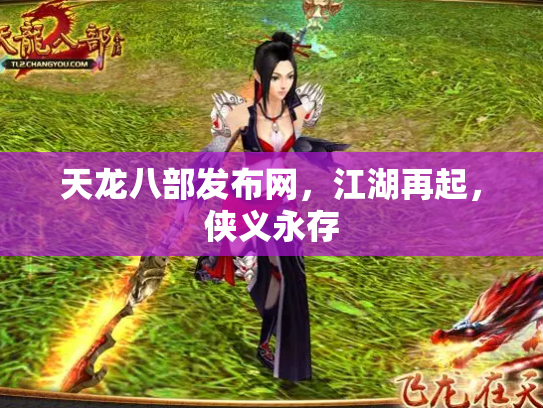 天龙八部发布网，江湖再起，侠义永存