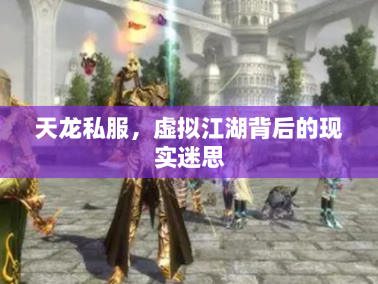 天龙私服，虚拟江湖背后的现实迷思