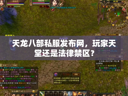 天龙八部私服发布网，玩家天堂还是法律禁区？