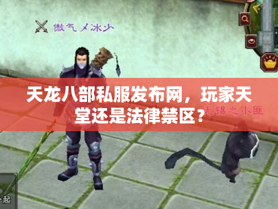 天龙八部私服发布网，玩家天堂还是法律禁区？