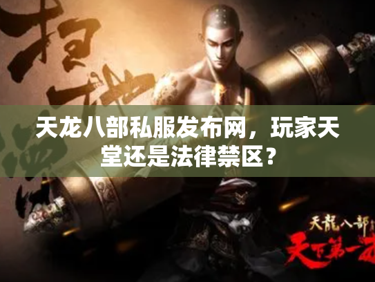 天龙八部私服发布网，玩家天堂还是法律禁区？