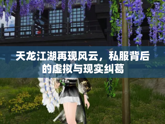 天龙江湖再现风云，私服背后的虚拟与现实纠葛