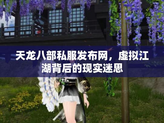 天龙八部私服发布网，虚拟江湖背后的现实迷思