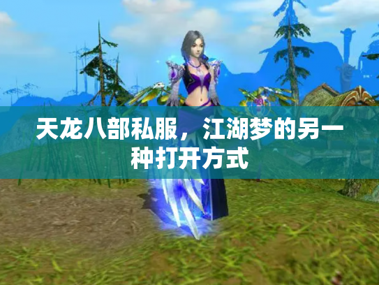 天龙八部私服，江湖梦的另一种打开方式
