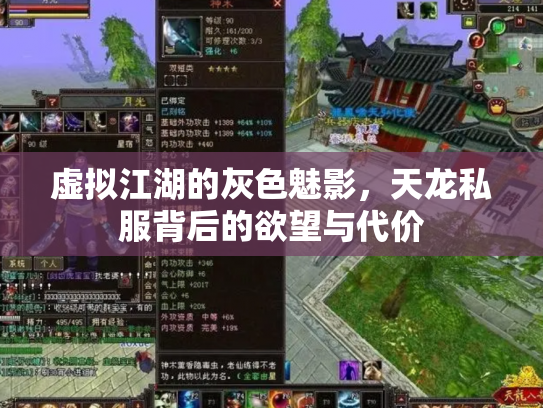 虚拟江湖的灰色魅影，天龙私服背后的欲望与代价
