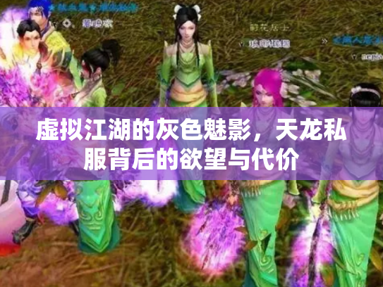 虚拟江湖的灰色魅影，天龙私服背后的欲望与代价
