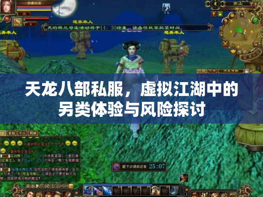 天龙八部私服，虚拟江湖中的另类体验与风险探讨