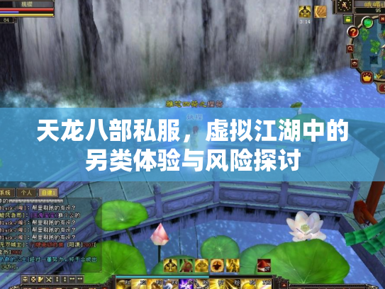 天龙八部私服，虚拟江湖中的另类体验与风险探讨