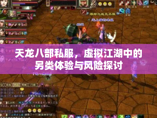 天龙八部私服，虚拟江湖中的另类体验与风险探讨