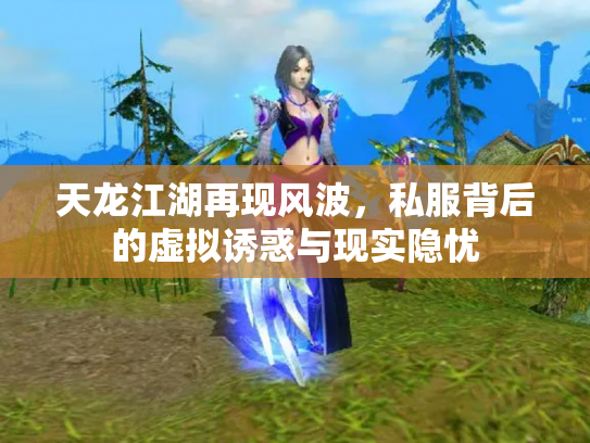 天龙江湖再现风波，私服背后的虚拟诱惑与现实隐忧