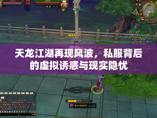 天龙江湖再现风波，私服背后的虚拟诱惑与现实隐忧