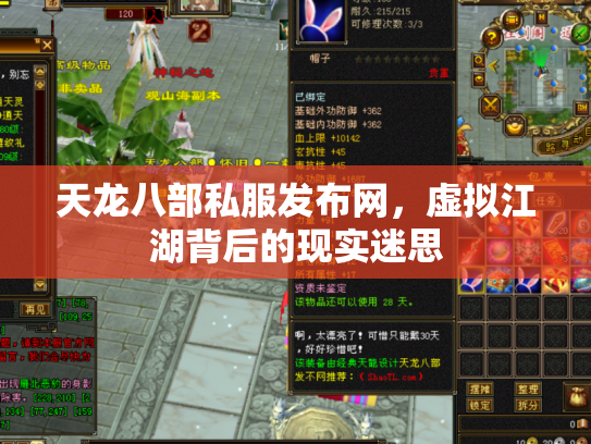 天龙八部私服发布网，虚拟江湖背后的现实迷思