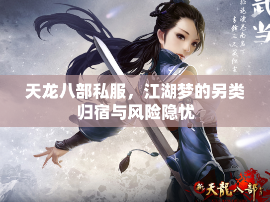 天龙八部私服，江湖梦的另类归宿与风险隐忧
