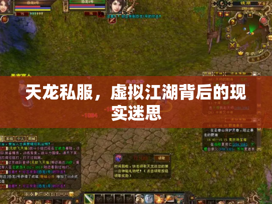 天龙私服，虚拟江湖背后的现实迷思