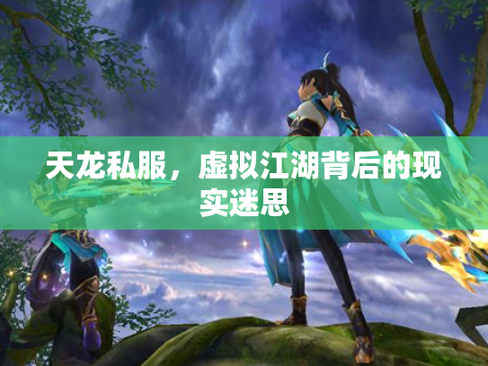 天龙私服，虚拟江湖背后的现实迷思