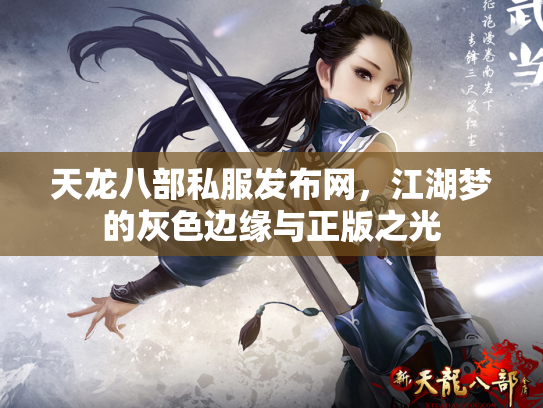 天龙八部私服发布网，江湖梦的灰色边缘与正版之光
