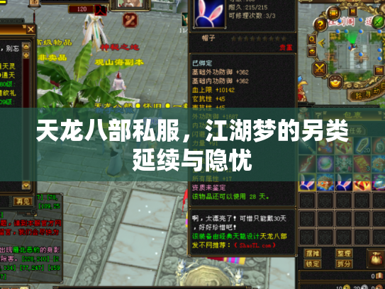 天龙八部私服，江湖梦的另类延续与隐忧