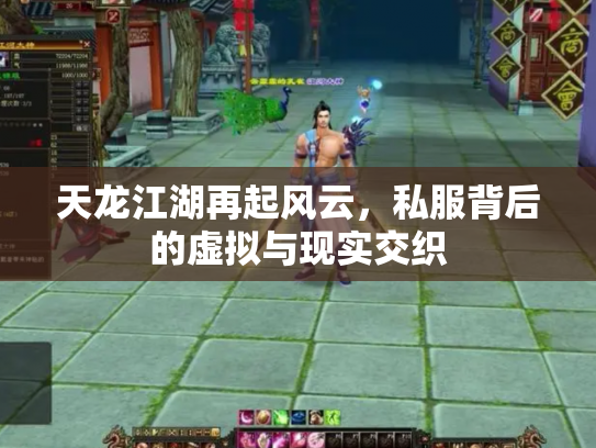 天龙江湖再起风云，私服背后的虚拟与现实交织