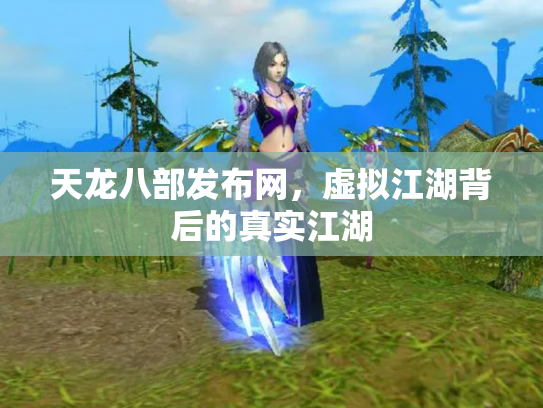 天龙八部发布网，虚拟江湖背后的真实江湖