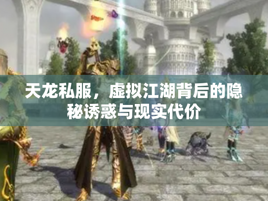 天龙私服，虚拟江湖背后的隐秘诱惑与现实代价