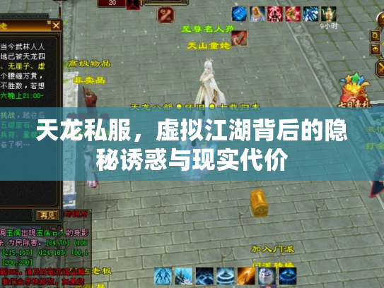 天龙私服，虚拟江湖背后的隐秘诱惑与现实代价