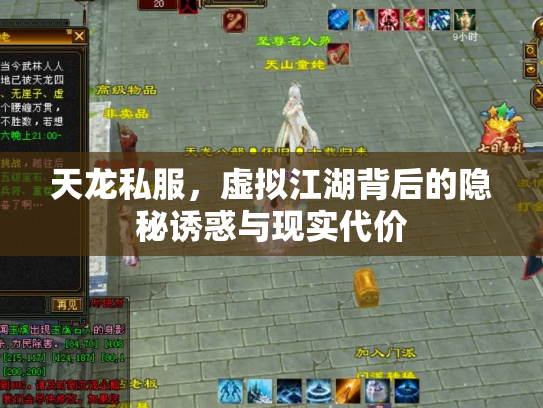 天龙私服，虚拟江湖背后的隐秘诱惑与现实代价
