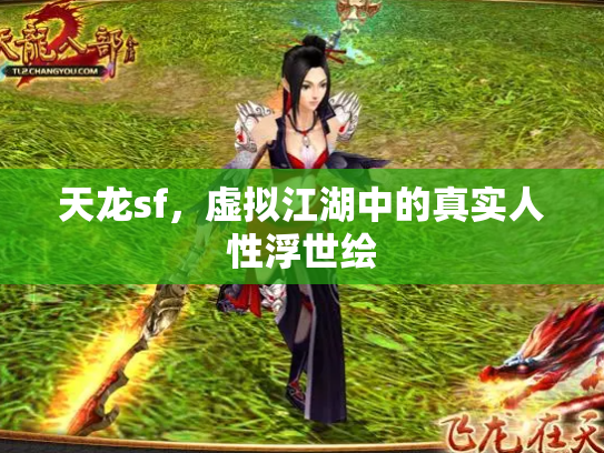 天龙sf，虚拟江湖中的真实人性浮世绘