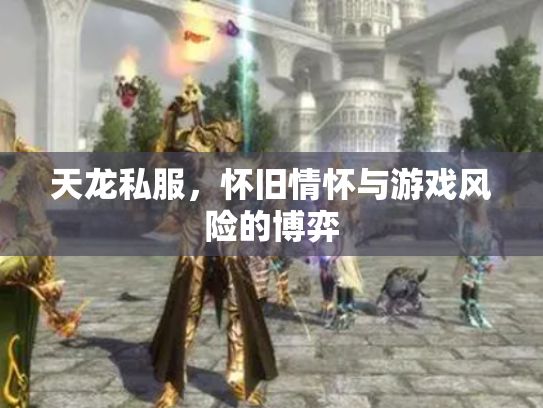 天龙私服，怀旧情怀与游戏风险的博弈
