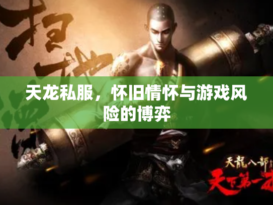 天龙私服，怀旧情怀与游戏风险的博弈