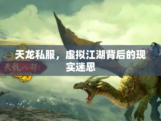 天龙私服，虚拟江湖背后的现实迷思