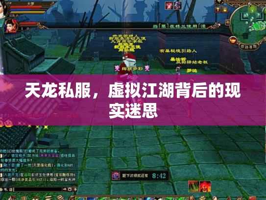 天龙私服，虚拟江湖背后的现实迷思