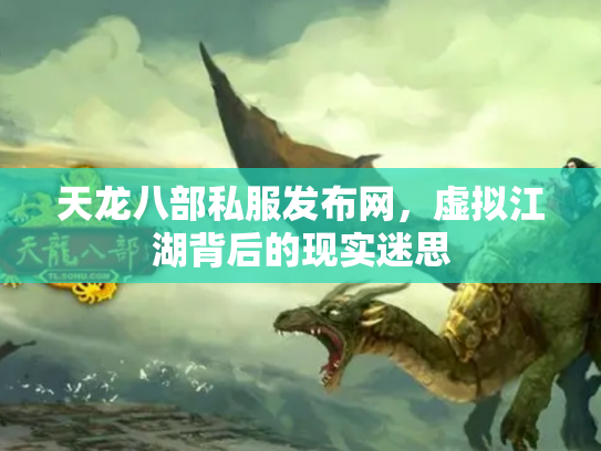 天龙八部私服发布网，虚拟江湖背后的现实迷思