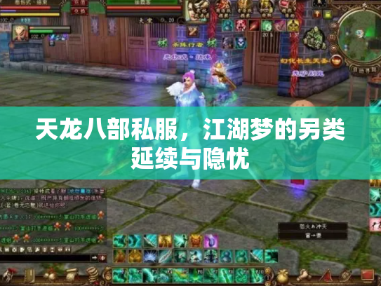 天龙八部私服，江湖梦的另类延续与隐忧