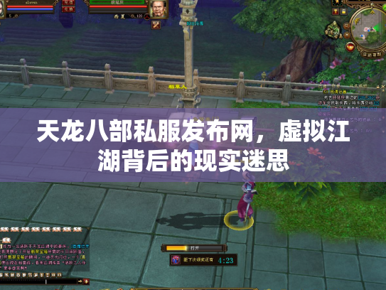 天龙八部私服发布网，虚拟江湖背后的现实迷思