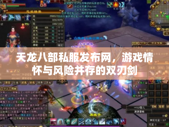 天龙八部私服发布网，游戏情怀与风险并存的双刃剑