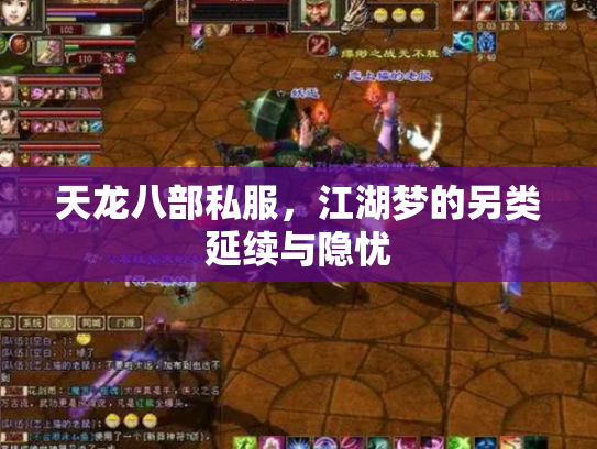 天龙八部私服，江湖梦的另类延续与隐忧