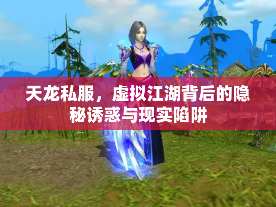 天龙私服，虚拟江湖背后的隐秘诱惑与现实陷阱