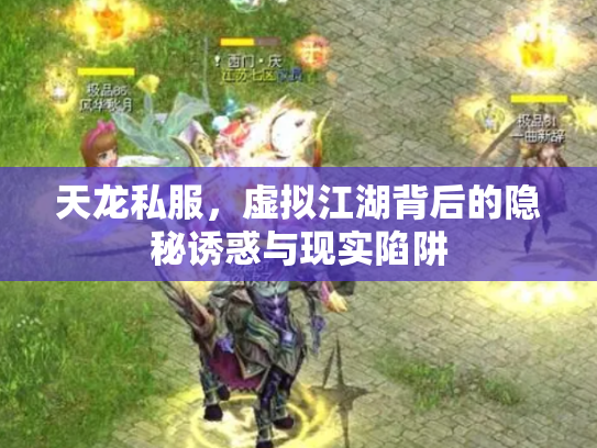 天龙私服，虚拟江湖背后的隐秘诱惑与现实陷阱