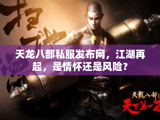 天龙八部私服发布网，江湖再起，是情怀还是风险？