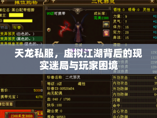 天龙私服，虚拟江湖背后的现实迷局与玩家困境
