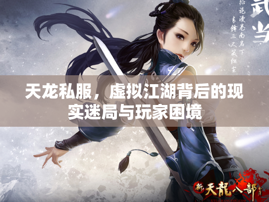 天龙私服，虚拟江湖背后的现实迷局与玩家困境