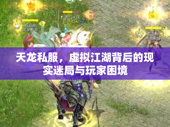 天龙私服，虚拟江湖背后的现实迷局与玩家困境