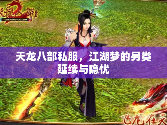 天龙八部私服，江湖梦的另类延续与隐忧