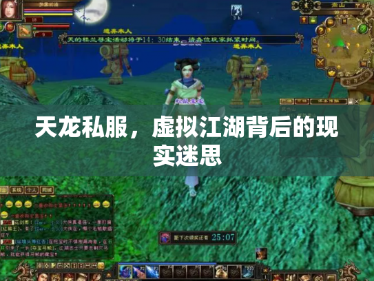 天龙私服，虚拟江湖背后的现实迷思