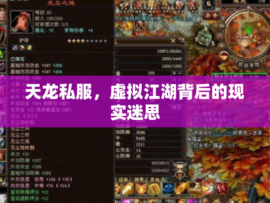 天龙私服，虚拟江湖背后的现实迷思